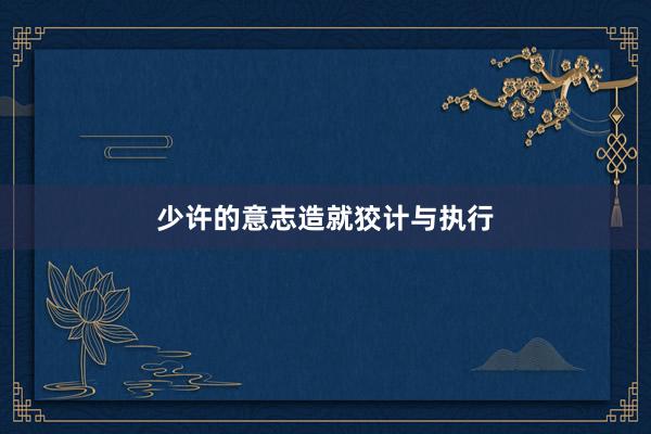 少许的意志造就狡计与执行